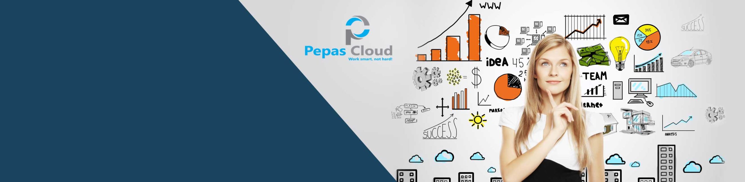 banner webinar power platform 2650 x 650 px scaled